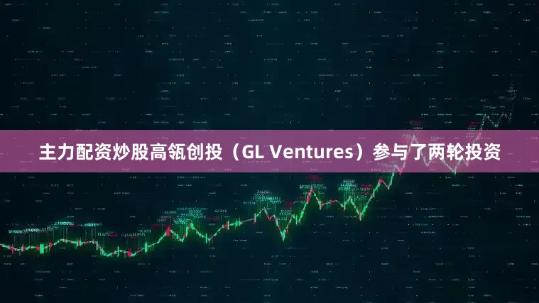 主力配资炒股高瓴创投（GL Ventures）参与了两轮投资