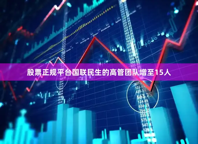 股票正规平台国联民生的高管团队增至15人